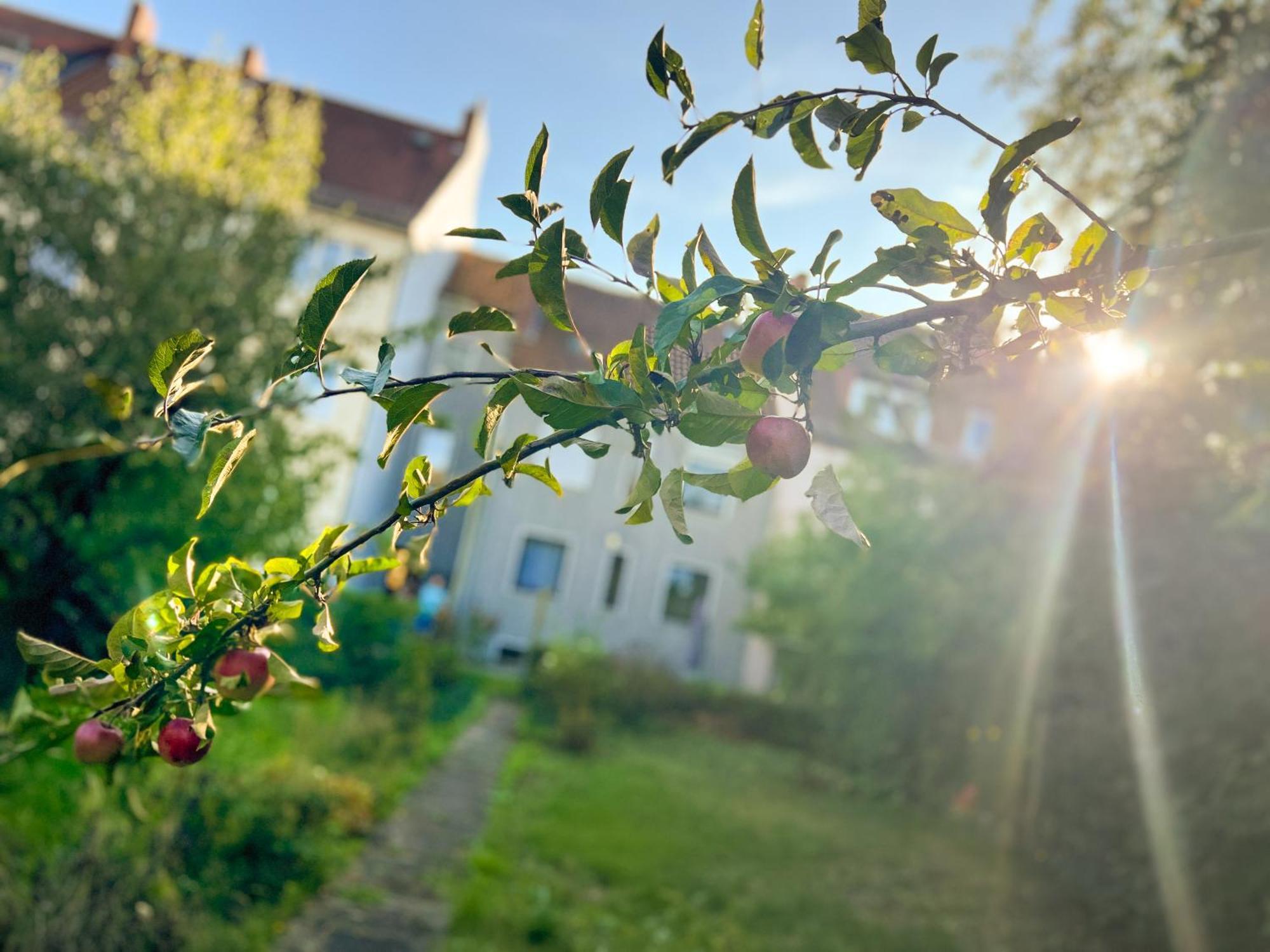 Immostay #8 - Haus Fuer 13 Personen Mit 7 Zimmer - Grosser Garten & Grill, Free Parking, Wlan BRE Buitenkant foto